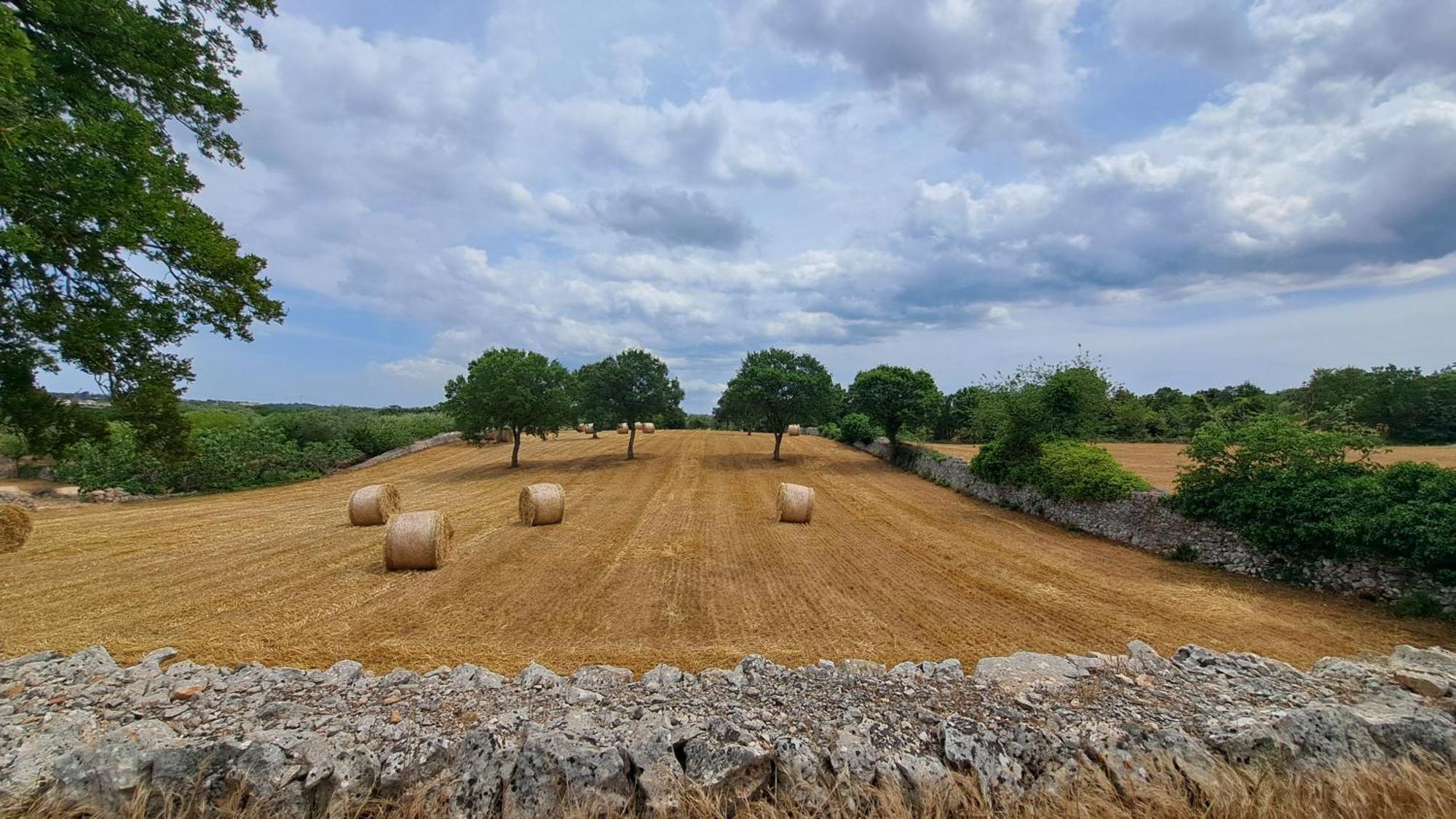 Casolare Di Puglia Villa Noci Eksteriør bilde