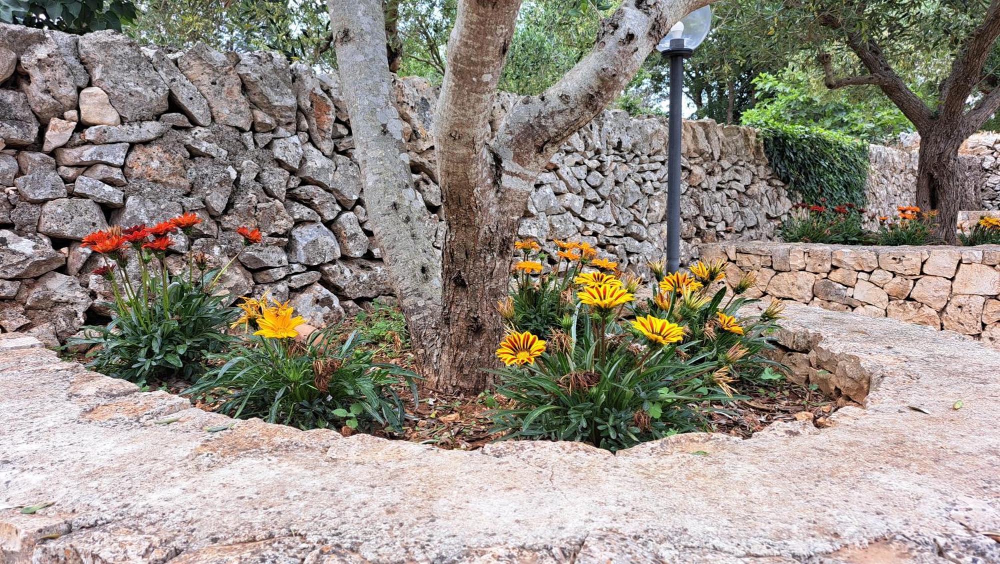 Casolare Di Puglia Villa Noci Eksteriør bilde